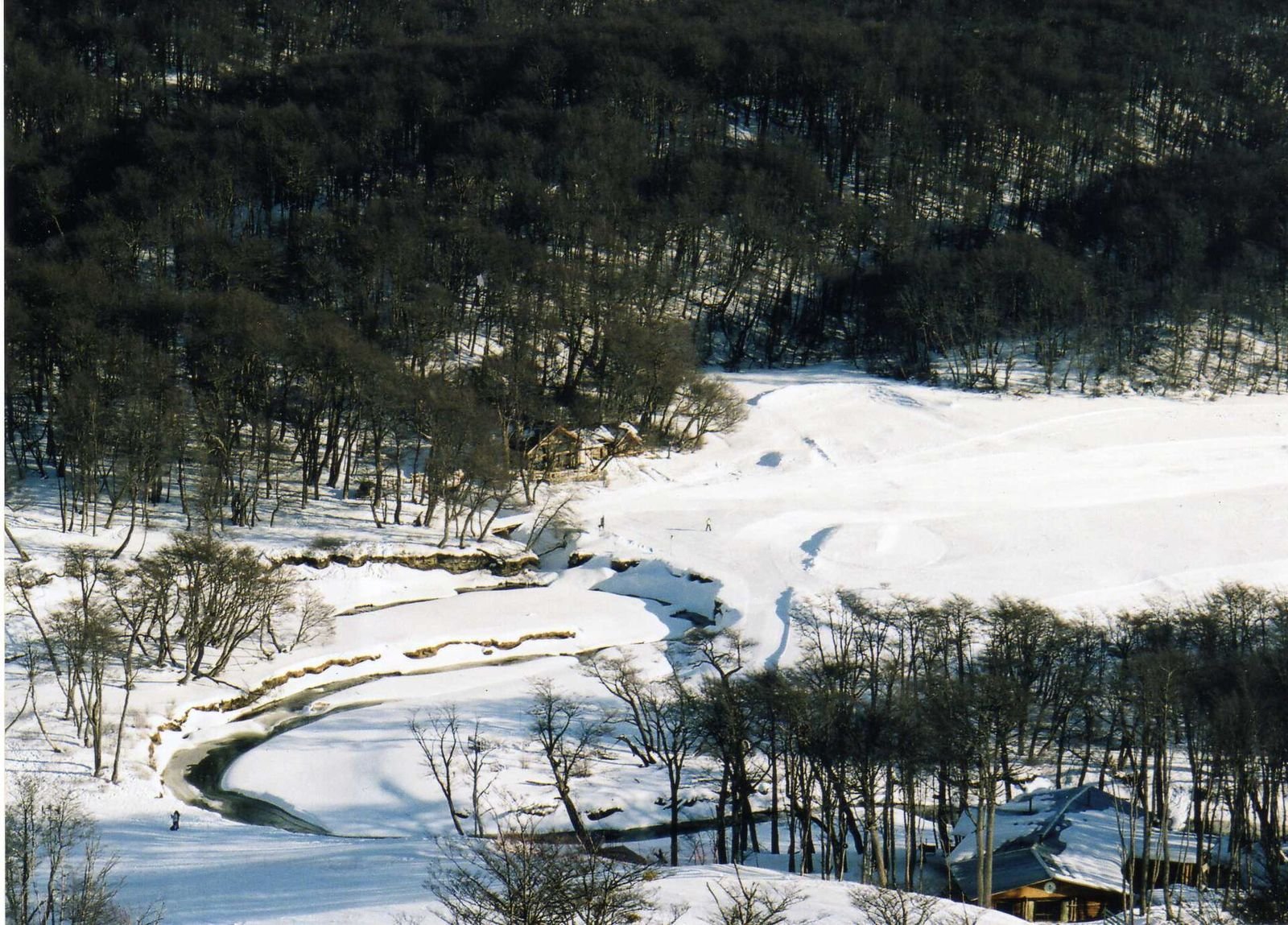 Bosque de lengas coberto de neve na base do Cerro Castor, perto de Ushuaia