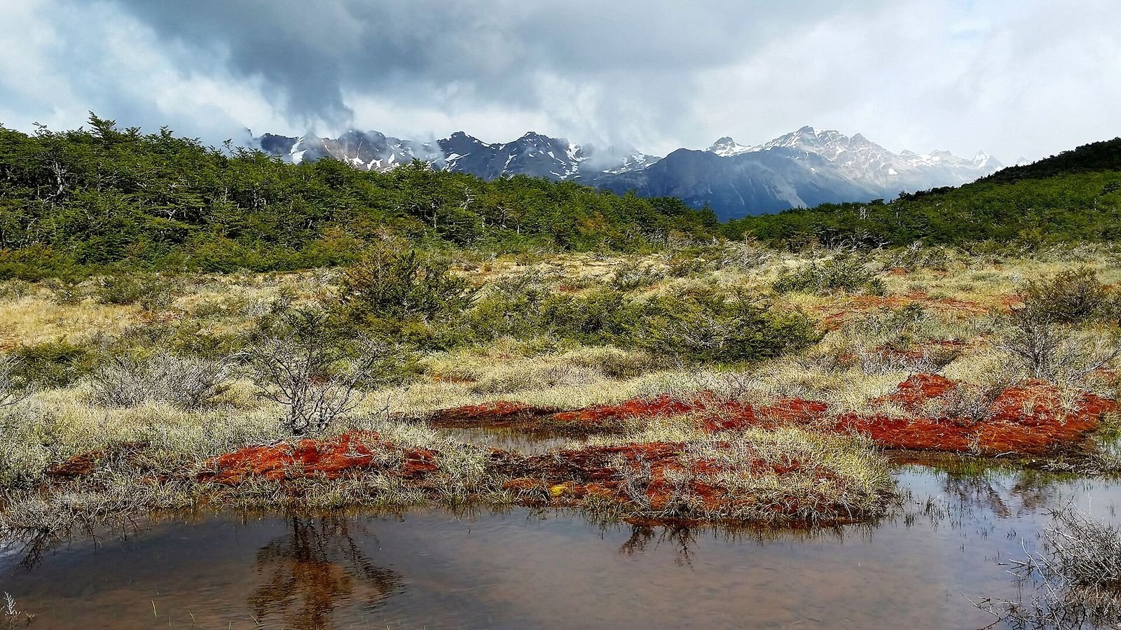 Turfeira colorida e montanhas no caminho da Laguna Esmeralda, em Ushuaia