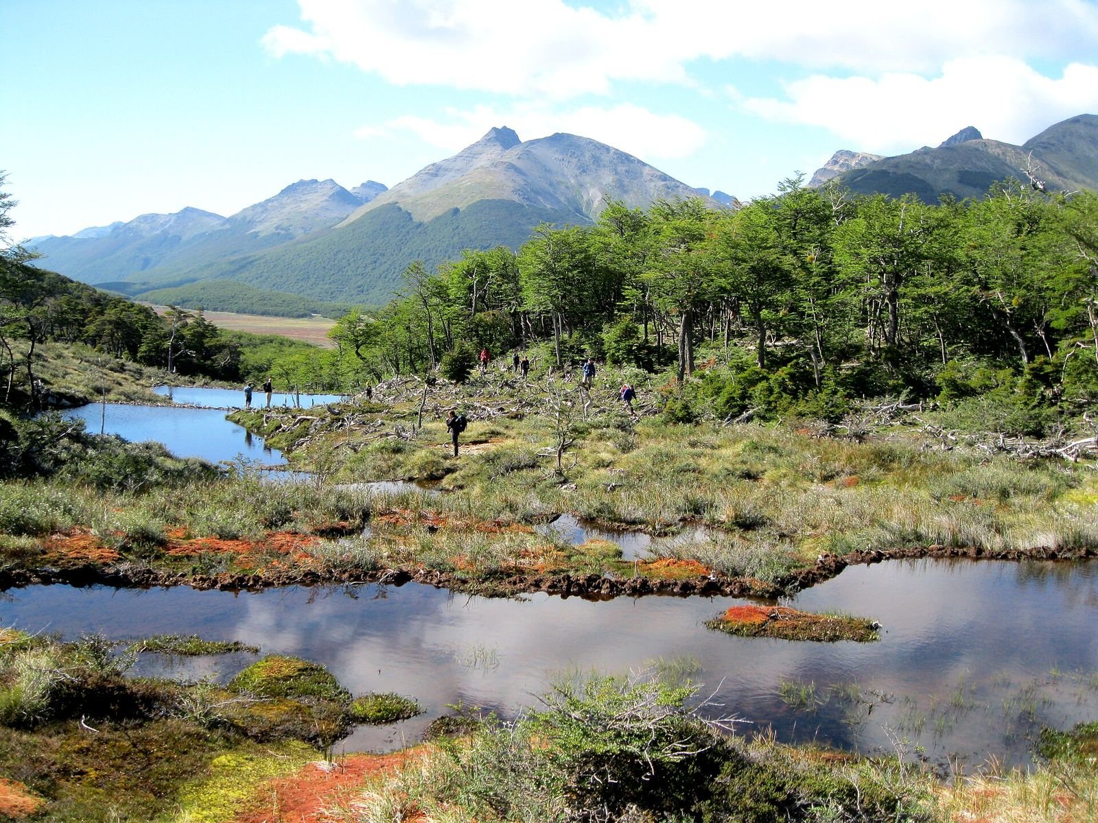 Trecho de turfeira alagada na trilha da Laguna Esmeralda, em Ushuaia