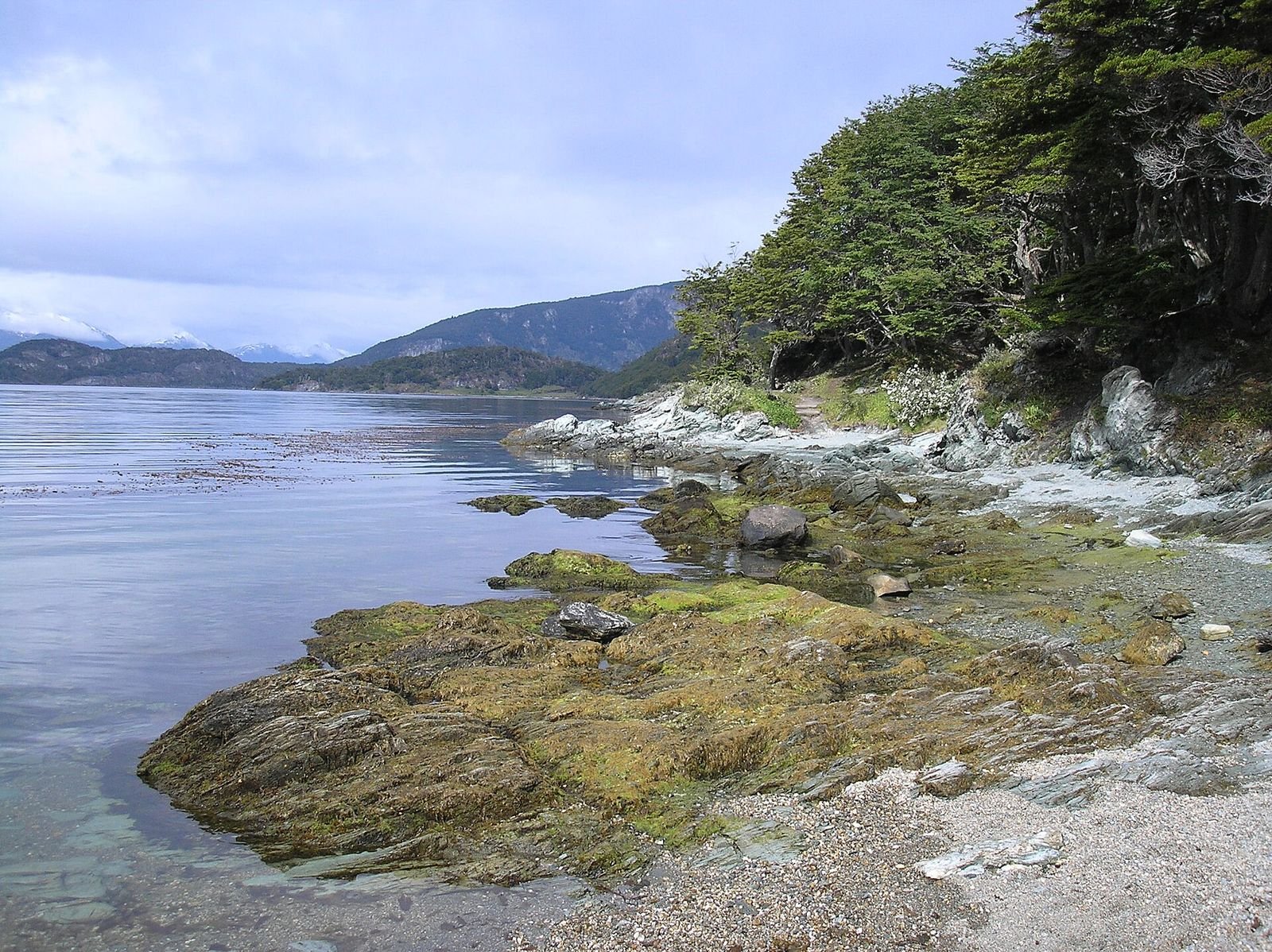Ushuaia com crianças: trilha fácil à beira do mar no Parque Nacional Terra do Fogo