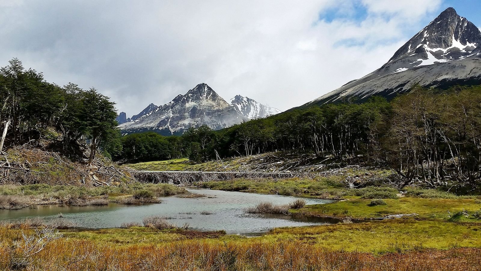 Vale com bosque e montanhas na trilha da Laguna Esmeralda